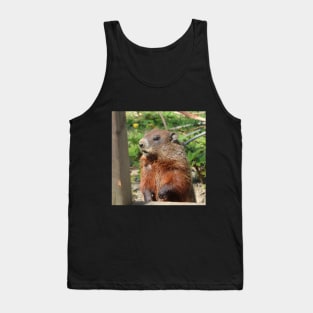 Woodchuck Checking out the Place Tank Top